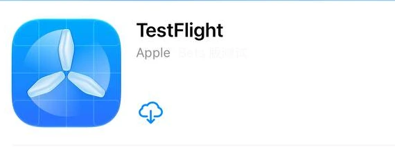 App Store 中的 TestFlight 与云朵下载按钮