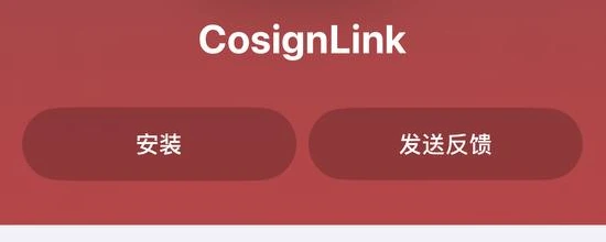 TestFlight 中 CosignLink 的“安装”按钮